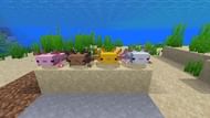 Image via Mojang
